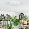 Ferli Plafones LED Blanca, 1 luz