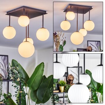 Chehalis Plafones, Luminarias esféricas Blanca, 5 luces