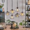Apedo Lámparas suspendidas, Luminarias esféricas, Lámparas colgantes Colores ámbar, Transparente, Ahumado, 6 luces