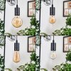 Soungou Lámparas suspendidas, Lámparas colgantes Crudo, Negro, 4 luces