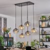 Apedo Lámparas suspendidas, Luminarias esféricas, Lámparas colgantes Colores ámbar, Transparente, Ahumado, 6 luces