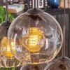 Koyoto Lámparas suspendidas, Luminarias esféricas, Lámparas colgantes Transparente, Ahumado, 6 luces