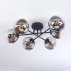 Gastor Plafones, Luminarias esféricas Transparente, Ahumado, 6 luces