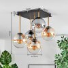 Gastor Plafones, Luminarias esféricas dorado, Negro, 5 luces