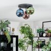 Gastor Plafones, Luminarias esféricas Azul, Verde, Color cobre, 3 luces