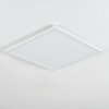 Zuren Plafones, Panel LED Blanca, 1 luz, Cambia de color