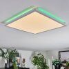 Zuren Plafones, Panel LED Blanca, 1 luz, Cambia de color