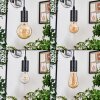 Soungou Lámparas suspendidas, Lámparas colgantes Crudo, Negro, 5 luces