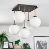 Gastor Plafones, Luminarias esféricas dorado, Negro, 5 luces