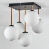 Gastor Plafones, Luminarias esféricas dorado, Negro, 5 luces