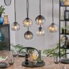 Koyoto Lámparas suspendidas, Luminarias esféricas, Lámparas colgantes Colores ámbar, Transparente, Ahumado, 6 luces