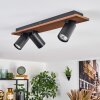 Dalan Plafones, Spot techo LED Crudo, Negro, 3 luces
