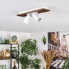 Dalan Plafones, Spot techo LED Crudo, Blanca, 2 luces