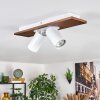 Dalan Plafones, Spot techo LED Crudo, Blanca, 2 luces