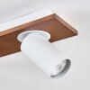 Dalan Plafones, Spot techo LED Crudo, Blanca, 2 luces