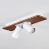 Dalan Plafones, Spot techo LED Crudo, Blanca, 2 luces
