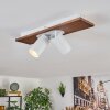 Dalan Plafones, Spot techo LED Crudo, Blanca, 2 luces
