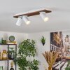 Dalan Plafones, Spot techo LED Crudo, Blanca, 3 luces