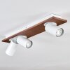 Dalan Plafones, Spot techo LED Crudo, Blanca, 3 luces