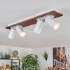 Dalan Plafones, Spot techo LED Crudo, Blanca, 4 luces
