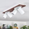 Dalan Plafones, Spot techo LED Crudo, Blanca, 4 luces