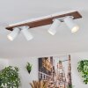 Dalan Plafones, Spot techo LED Crudo, Blanca, 4 luces
