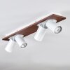 Dalan Plafones, Spot techo LED Crudo, Blanca, 4 luces