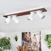 Dalan Plafones, Spot techo LED Crudo, Blanca, 4 luces