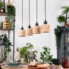 Granja Lámparas suspendidas, Lámparas colgantes Crudo, Negro, 4 luces