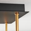 Gastor Plafones, Luminarias esféricas dorado, Negro, 5 luces