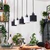 Bassagoda Lámparas suspendidas, Lámparas colgantes Crudo, Negro, 5 luces