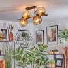 Ripoll Plafones, Luminarias esféricas dorado, Negro, 8 luces