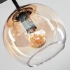 Koyoto Plafones, Luminarias esféricas Colores ámbar, Transparente, 3 luces