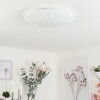 Emibois Lámpara de Techo LED Cromo, 1 luz