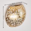Concha Aplique Blanca, 1 luz