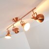 Tina Lámpara de Techo Cobre, 4 luces