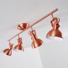 Tina Lámpara de Techo Cobre, 4 luces