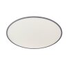 Wofi LINOX Lámpara de Techo LED Plata, 1 luz, Mando a distancia