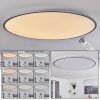 Champa Lámpara de Techo LED Plata, 1 luz, Mando a distancia