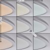 Champa Lámpara de Techo LED Plata, 1 luz, Mando a distancia