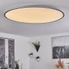 Champa Lámpara de Techo LED Plata, 1 luz, Mando a distancia