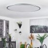 Champa Lámpara de Techo LED Plata, 1 luz, Mando a distancia