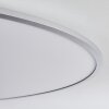 Champa Lámpara de Techo LED Plata, 1 luz, Mando a distancia