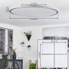 Champa Lámpara de Techo LED Plata, 1 luz, Mando a distancia