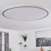Champa Lámpara de Techo LED Plata, 1 luz, Mando a distancia