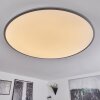 Champa Lámpara de Techo LED Plata, 1 luz, Mando a distancia