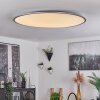 Champa Lámpara de Techo LED Plata, 1 luz, Mando a distancia