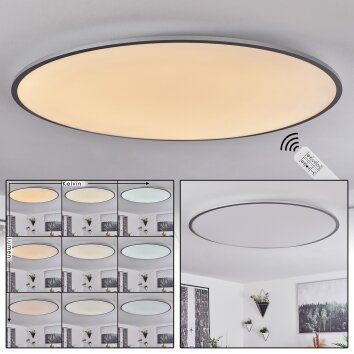 Champa Lámpara de Techo LED Plata, 1 luz, Mando a distancia