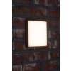 AEG Letan Square Aplique para exterior LED Antracita, Blanca, 1 luz