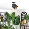 Alsen Apliques, Spot de pared Negro, 1 luz